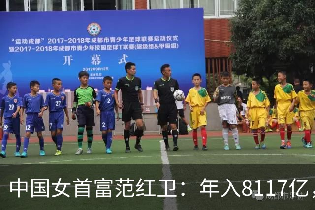 中国女首富范红卫：年入8117亿，超华为成第3民企，资金从哪来？