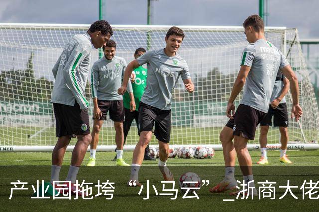 产业园拖垮“小马云” 浙商大佬被立案侦查