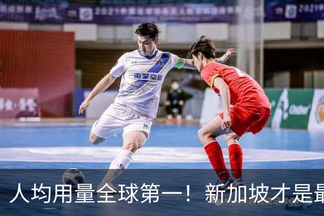 人均用量全球第一！新加坡才是最爱用Claude的国家