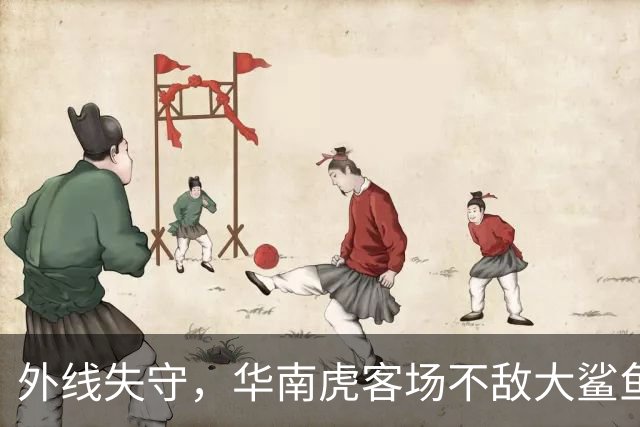 外线失守，华南虎客场不敌大鲨鱼