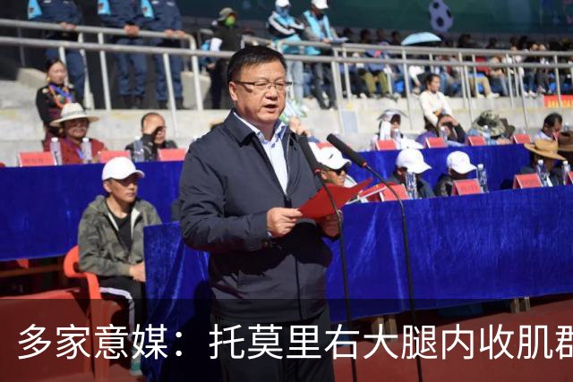 多家意媒：托莫里右大腿内收肌群损伤，两周后重新评估