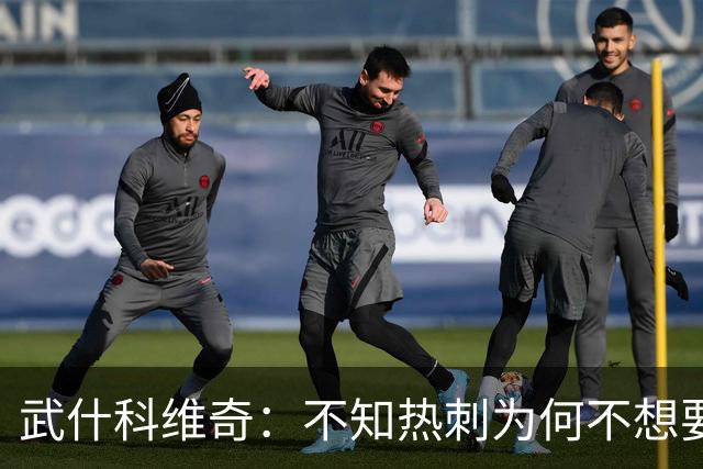 武什科维奇：不知热刺为何不想要我，但我很高兴加盟布莱顿