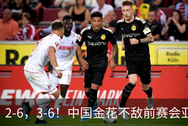 2-6，3-6！中国金花不敌前赛会亚军，止步WTA500宁波站女单首轮