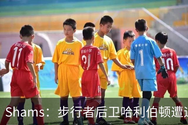 Shams：步行者后卫哈利伯顿遭遇左腿筋拉伤，将缺席一段时间